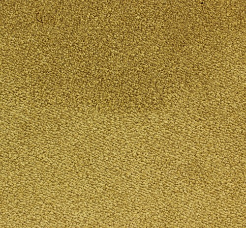 Wykładzina dywanowa Edel Ambition 146 Ocre
