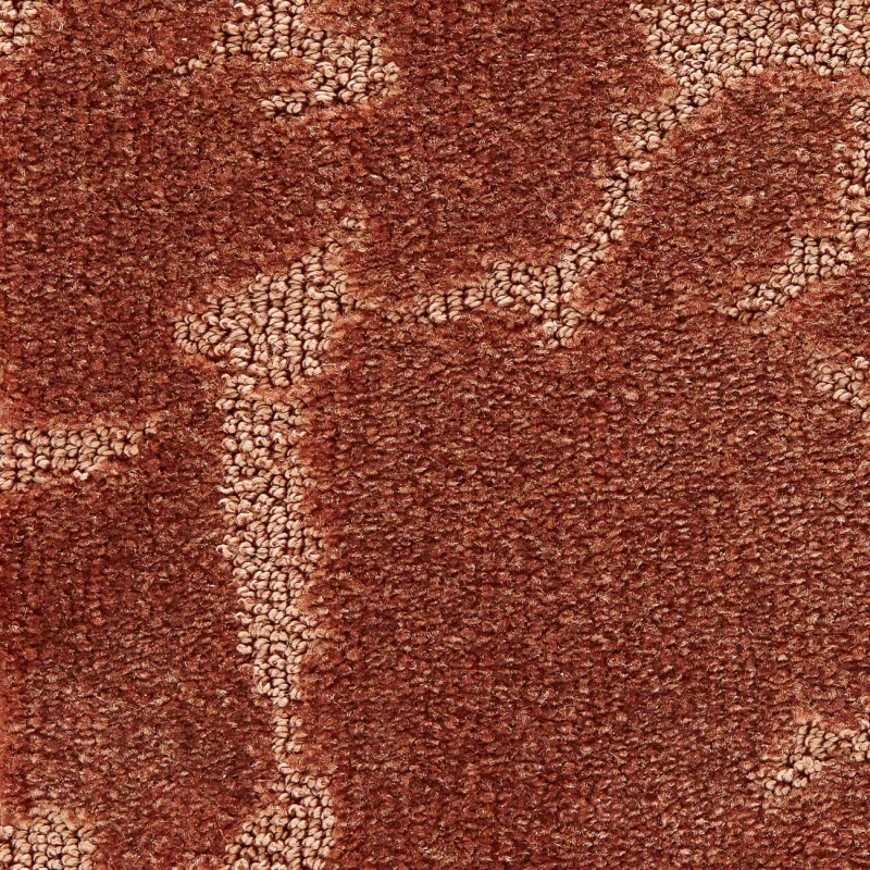 72f9b544fb983f267c1d803aeb172a73