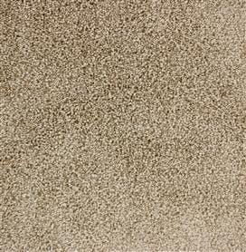 ea56056a334cebd62a722443e093da5a