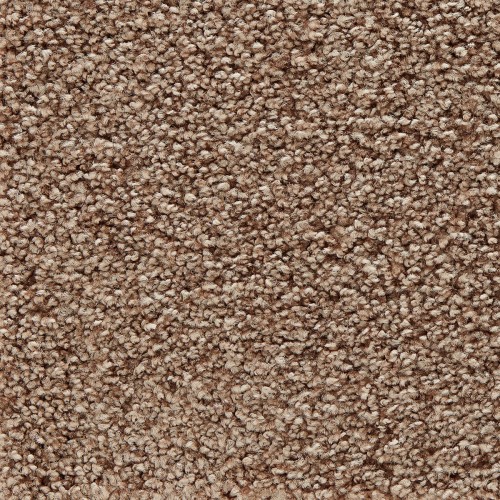 Wykładzina dywanowa Edel Charisma 145 Taupe