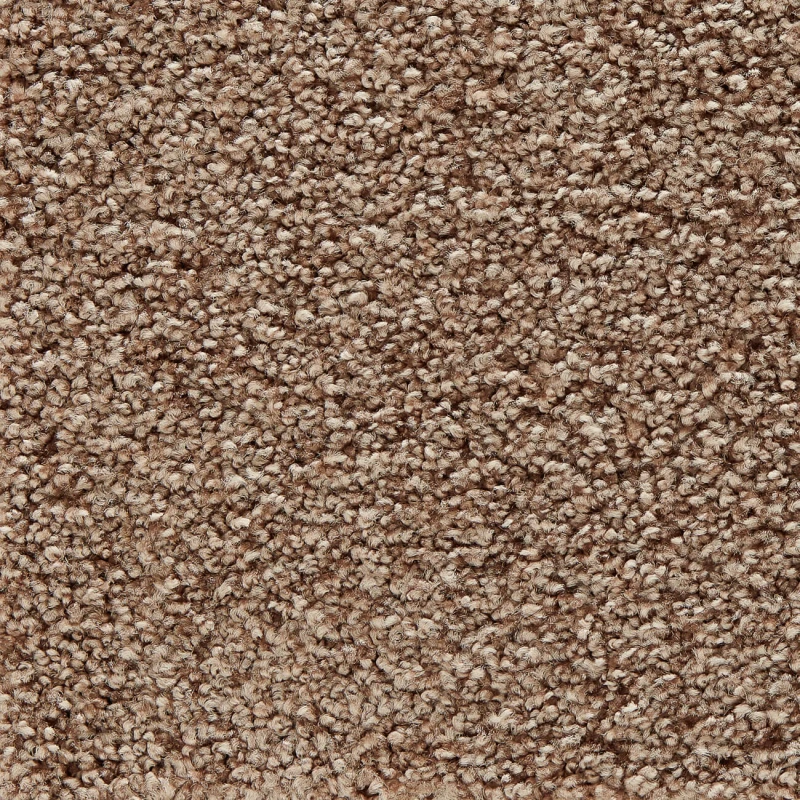 406abb9e4563466fc4bdbbc41a7f4f03