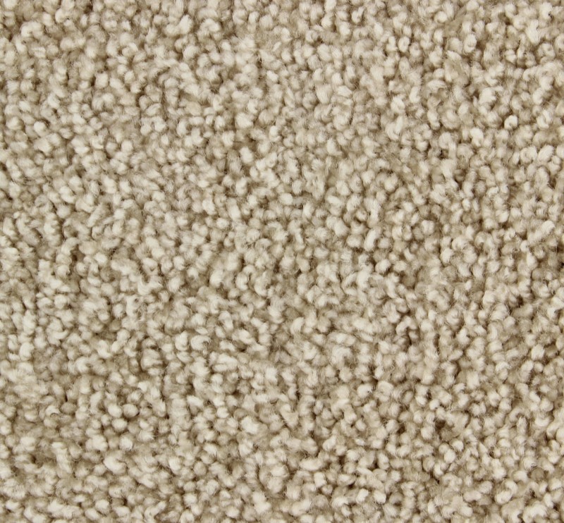 f9771c70fc3f3de3b2146dbcba71940d