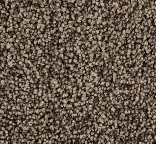 Wykładzina dywanowa Edel Charisma 283 Coffee