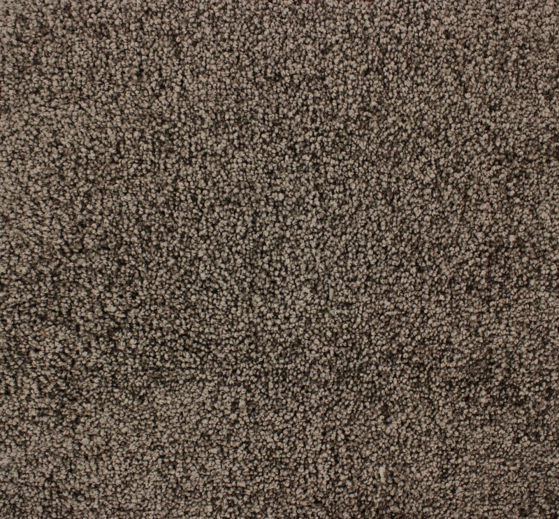 8dd8ef59bf0f050e34952747bc83e7a5