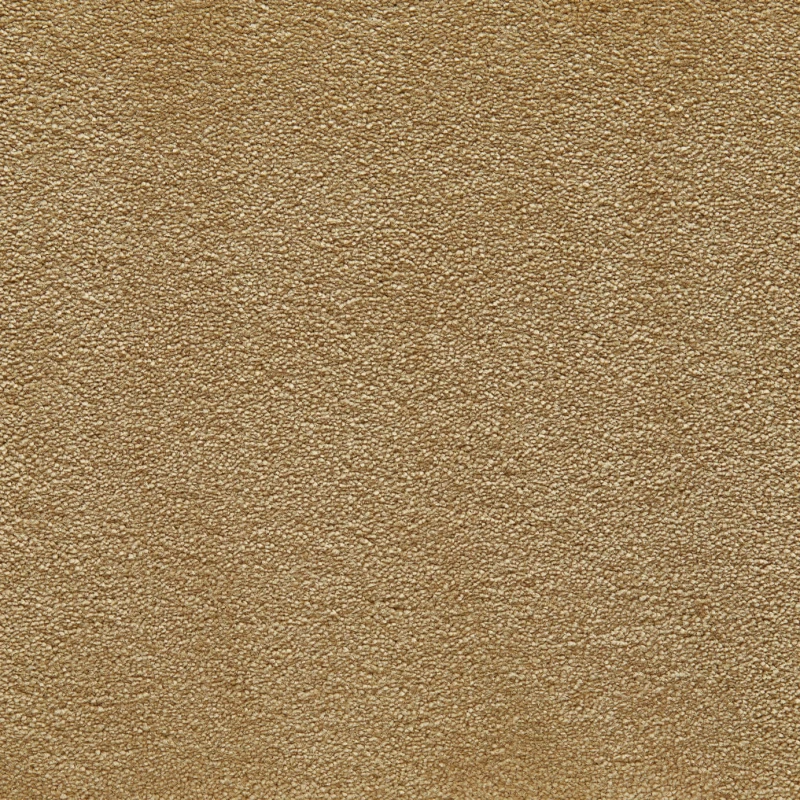 fa5c7263beb02cc8484e499e6fcd8010