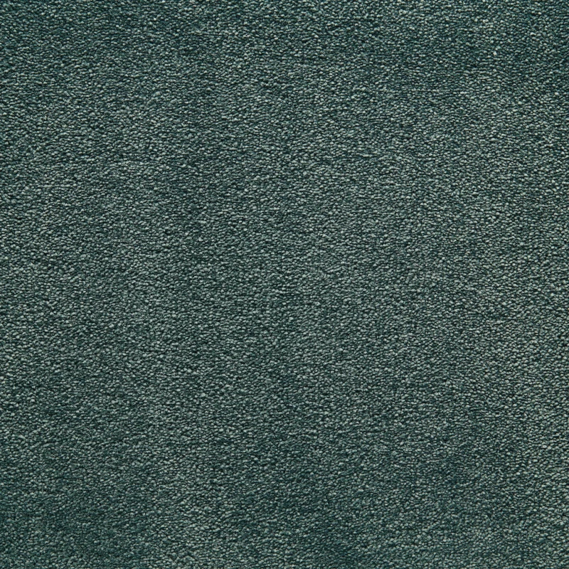 2b5ee51c32c4093157d94c22ba0e7013