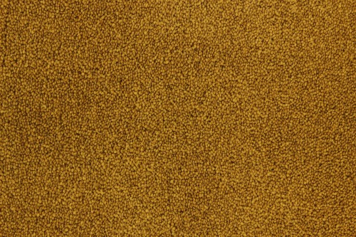 Wykładzina dywanowa Edel Honesty 153 Caramel