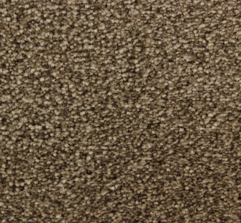 2e0fc8e1502650ec31e5b9ca00ab2895