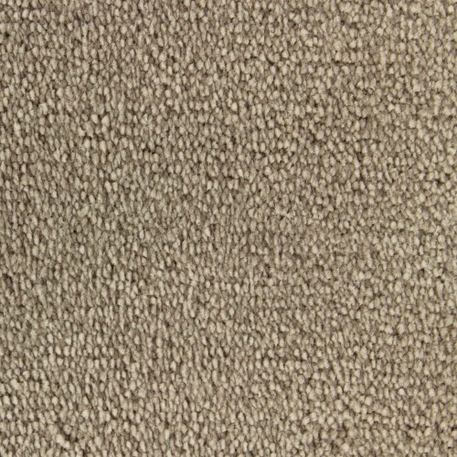 Wykładzina dywanowa Edel Palmares 133 Taupe