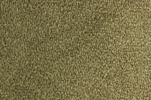 Wykładzina dywanowa Edel Palmares 234 Olive