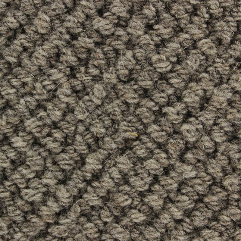 24b55b7390228911c189ed1f1770118b