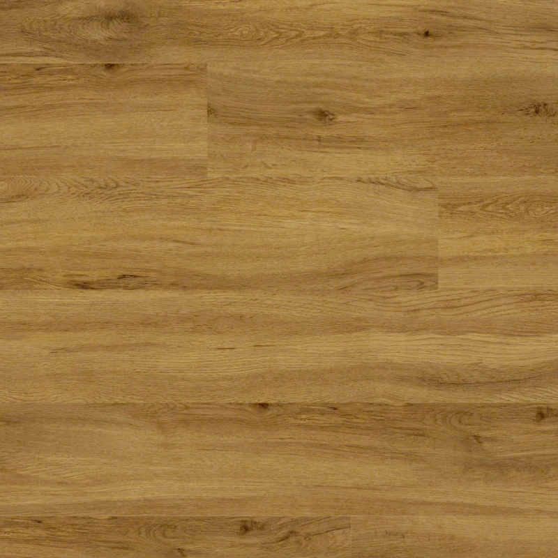 7d2f5d3cbd787622ee74779ce76fbca1