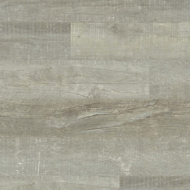 2f583feadea31e5b9a673f2f082e5245