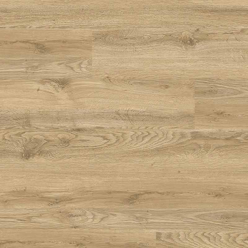 307e051dc2cbc0014eeafe83a3a42b84