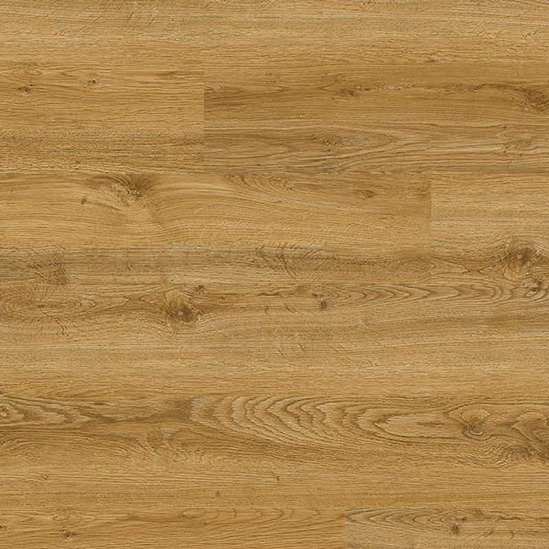 473e89e7e6761591d61d9bce6dca555e