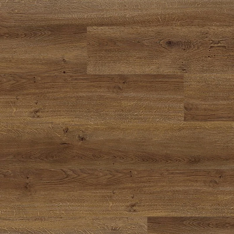 11b436ef3afdbbdc0f6afb12970f1702