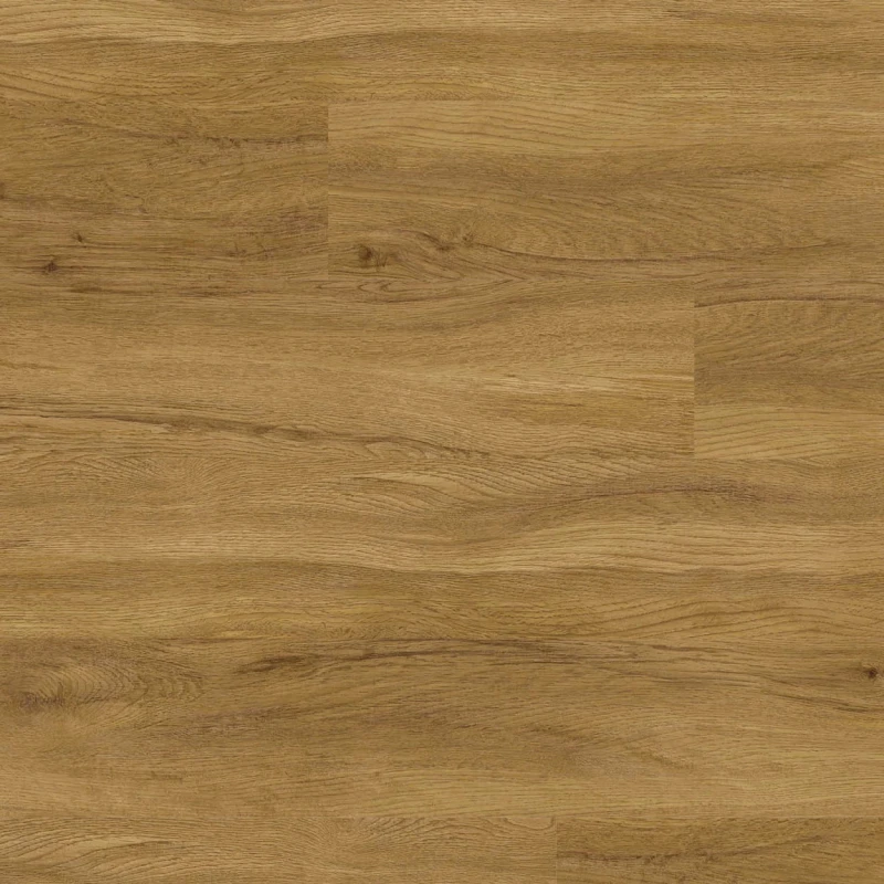 6801fcb301468999e1a84db8035fcd46