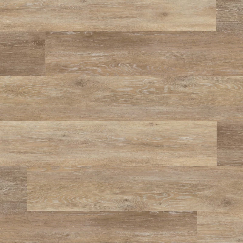 b0f2060535a599069cf329cdff877733