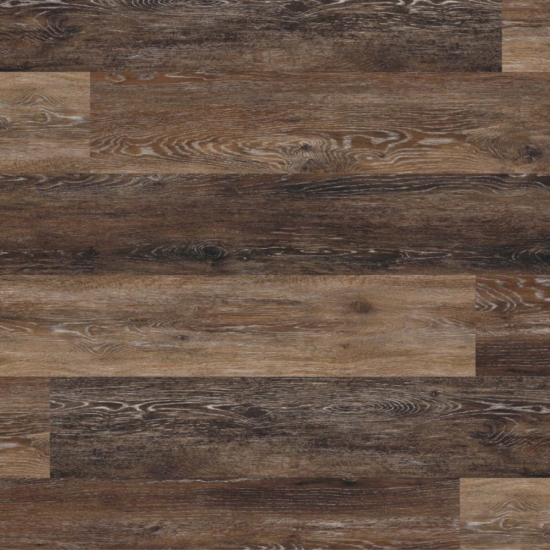 3a970c60432608101846c023c4e785a5