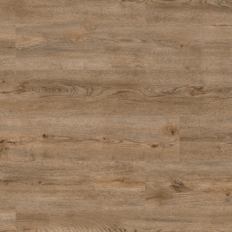 db525cff36ebd493c5113813ba82317c