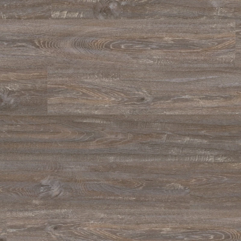 8004f6a08b781e7d31916d4cdfa9b520