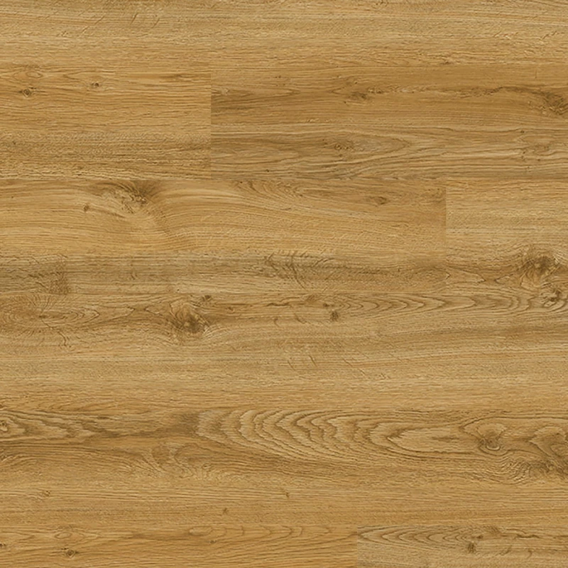 c68e88f1e7cc892a4d73e44e8de14573