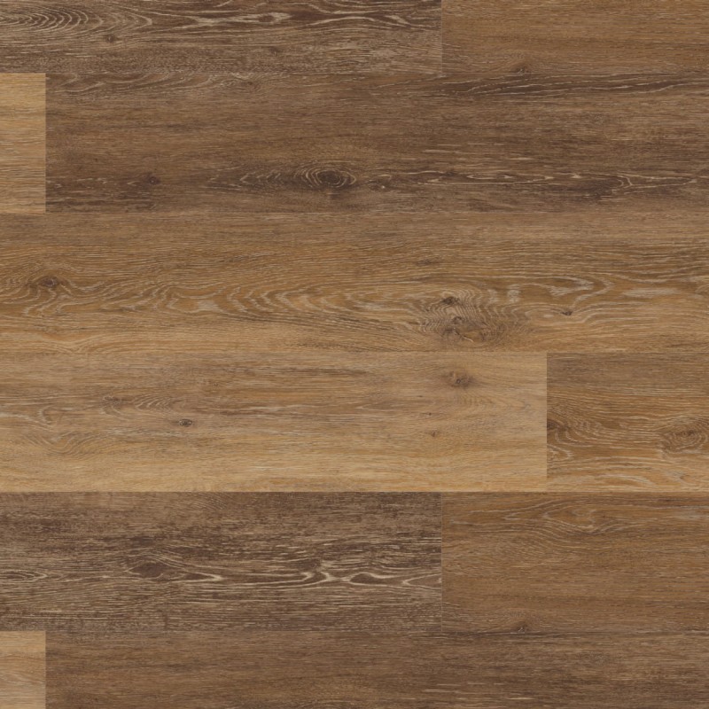 5bac49e3553fbee5a6a406e129b3a657