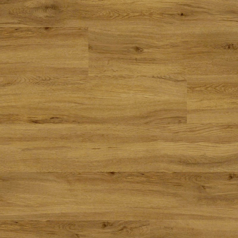 ae04479a00225217b936e40e3d7c54f0