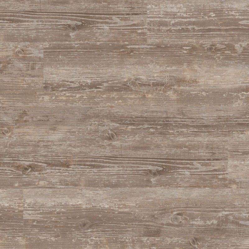 fd63c2780831ec204e01a9c1a4febed1