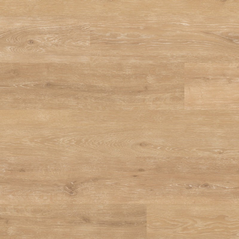 19b259f1a2f9ad951ab09f02915ad20d