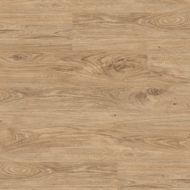 fdb253ffaff408359331c4e18249c247