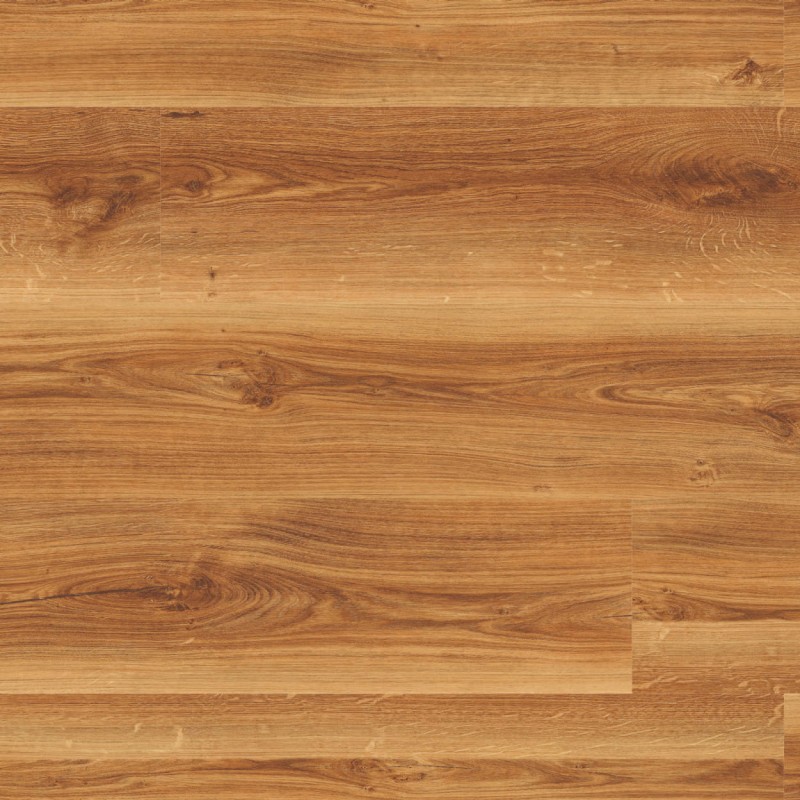 0850fca35ab5d5dd8c1a7d0a7d3f9efd