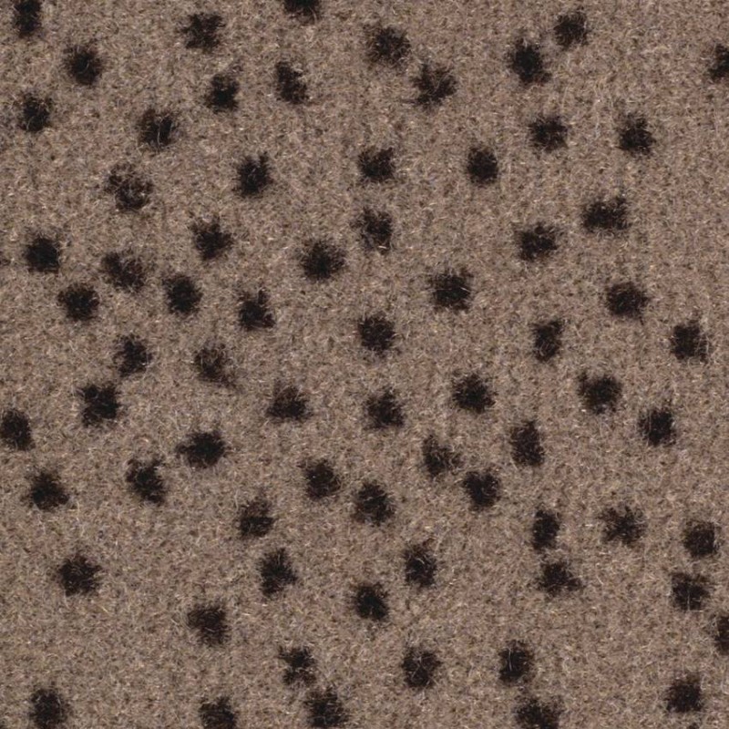 c681603526fe645175567a34553002f8