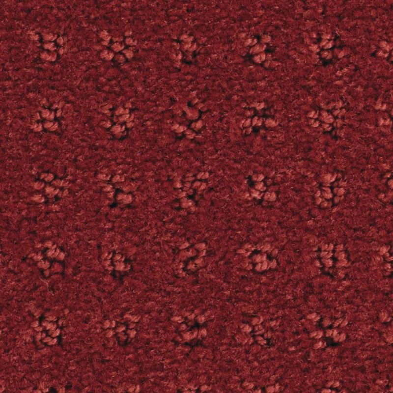 e8f74373c4336edb8ba4d7ec26cb13c8