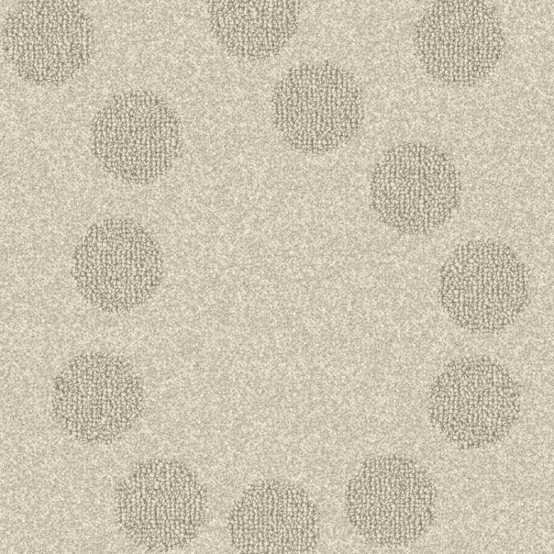 01e4a85514ccb79d938a9502e87d7a3e