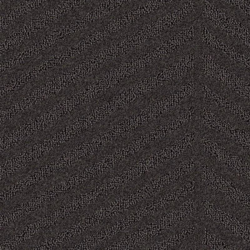 8ab53572104543c737d0fb2781192c55