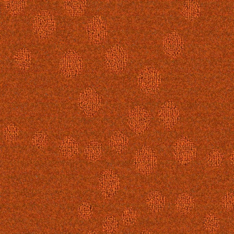 1efca470953a5c89c899e355acf15477