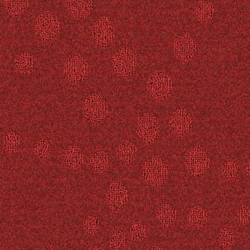 3df5dbc423b8f4b9d18ab42833aaf009