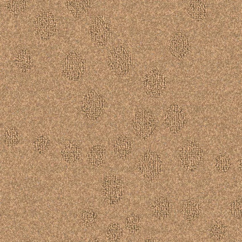 dbf58b9c80eafc8932f1a42c8a01c303