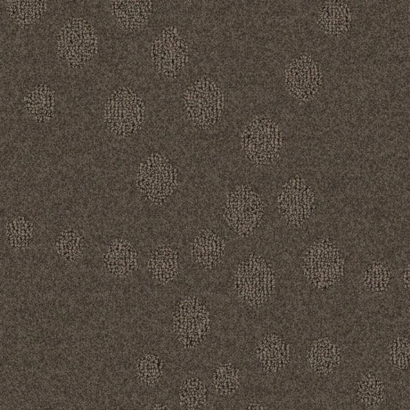 1b2737d2717ea1d2647fca91745389c5