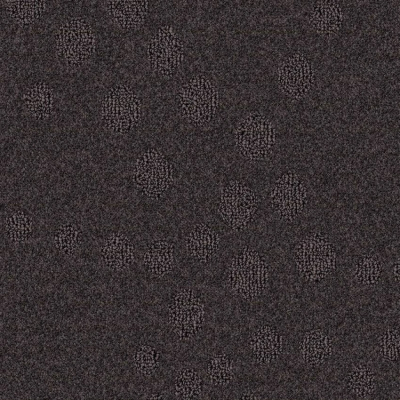 c3d72e22ac0f5de3e4e879a8a10f7b5f