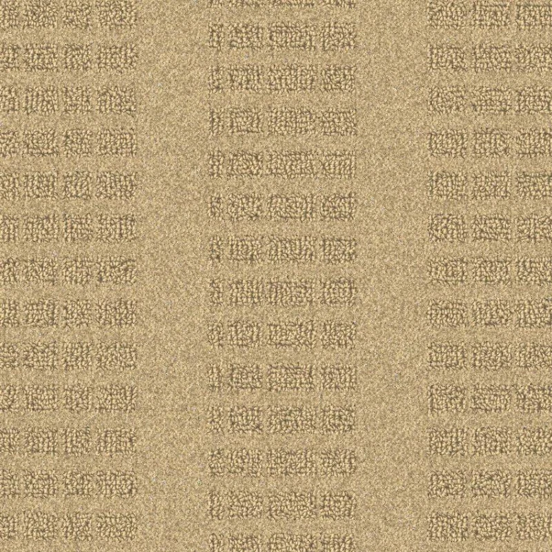 9d02c6ba0dc8ceafe4afe1e1aad38c65