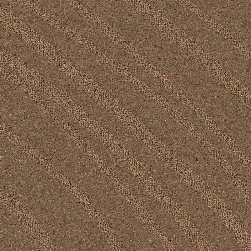 8409a4042c05188431b1d558e3164fb9