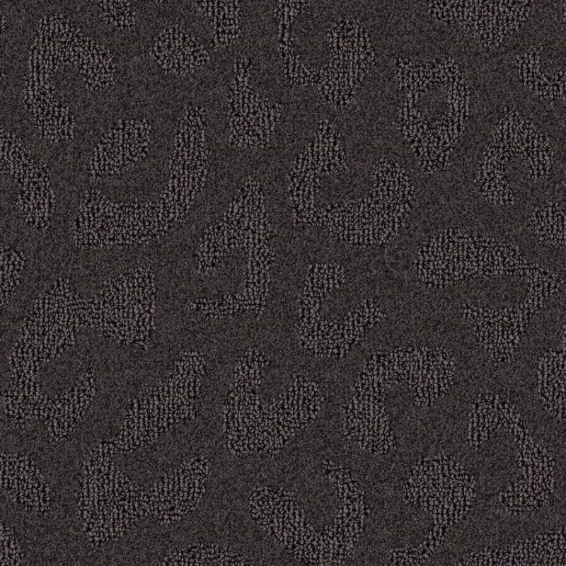 9cf33bf03325bb1c09734c8215df3f4b