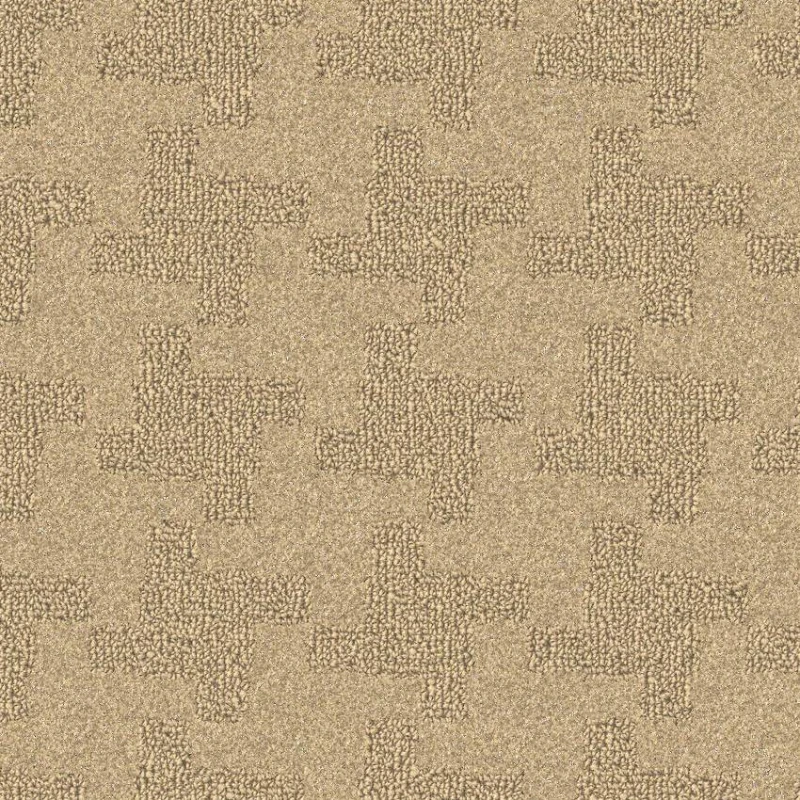 d063b72fc5ba71e5fa0a181d81483811