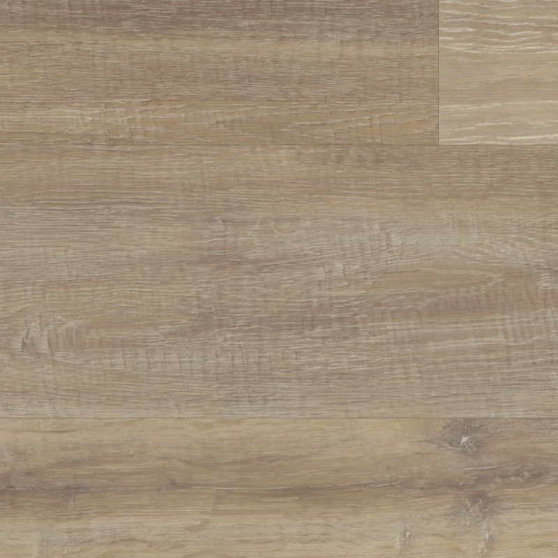 fef961e1cae6484cb96969233c9ce416