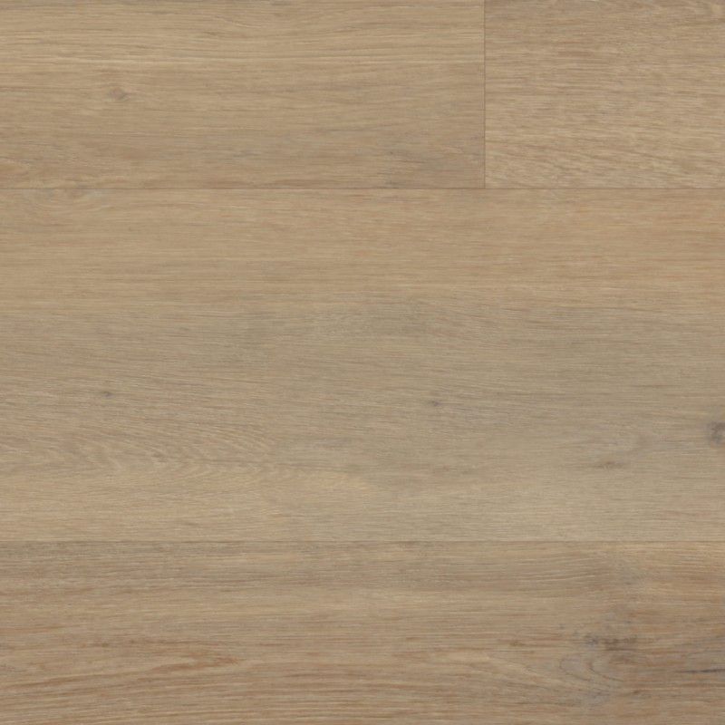 ec4d32b8494da7f103c1b99ad7278d10