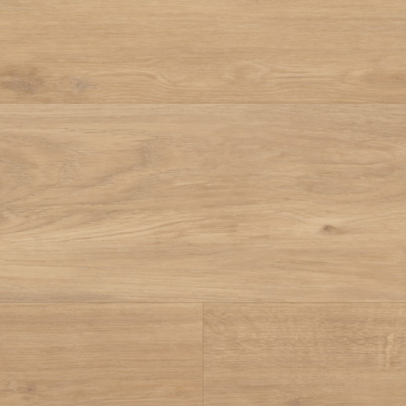 29e57f1ba3413e687a178447125f145a