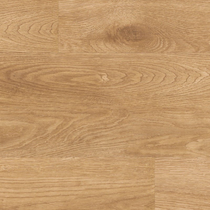 b17e63c2c1cc7a2a50fd731a005813bf