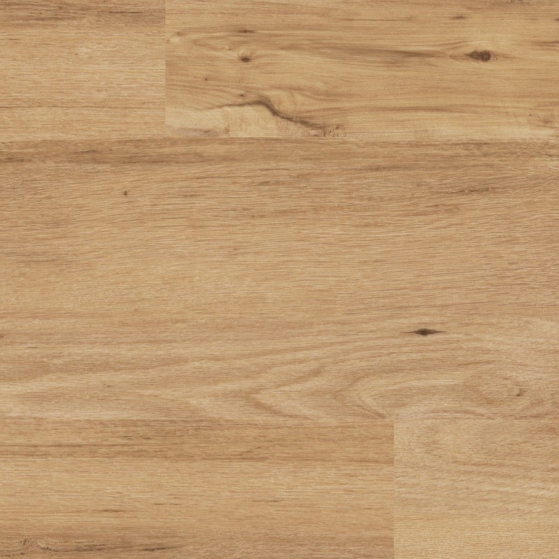 c6e69a650265b215ab9f0d0a7dea301c